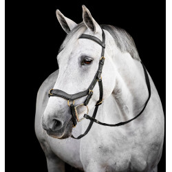 Horseware Micklem® Multi Bridle