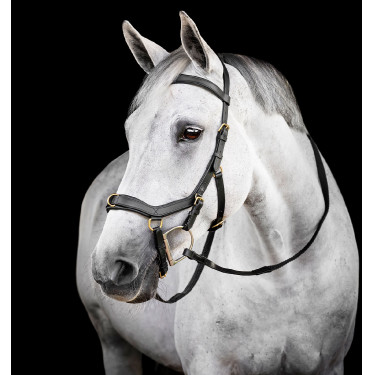 Horseware Micklem® Multi Bridle