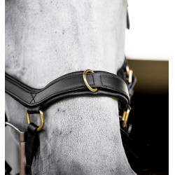 Horseware Micklem® Multi Bridle