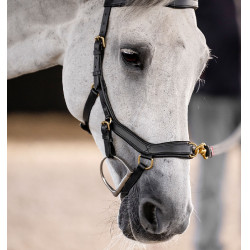 Horseware Micklem® Multi Bridle