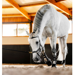 Horseware Micklem® Multi Bridle