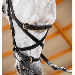 Horseware Micklem® Multi Bridle