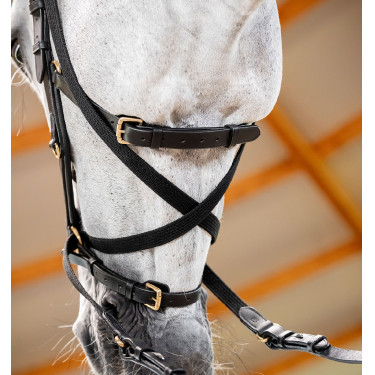 Horseware Micklem® Multi Bridle