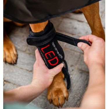 Horseware LED-Rotlicht-Therapie Haustiergamaschen 2er-Set
