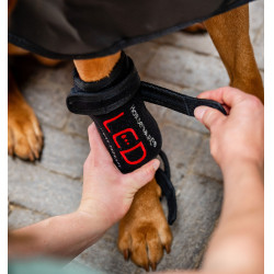 Horseware LED-Rotlicht-Therapie Haustiergamaschen 2er-Set