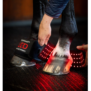 Horseware LED-Rotlicht-Therapie Minigamaschen 4er-Set