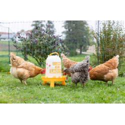 Kunststofftränke mit Ladies-Motiv
