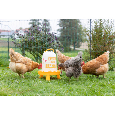 Kunststofftränke mit Ladies-Motiv