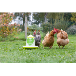 Futtertrog mit Ladies-Motiv