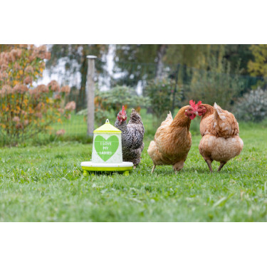 Futtertrog mit Ladies-Motiv