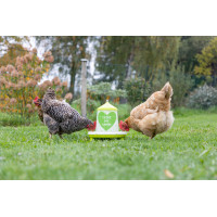 Futtertrog mit Ladies-Motiv Futtertrog mit Ladies-Motiv