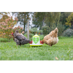 Futtertrog mit Ladies-Motiv