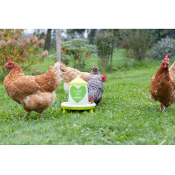 Futtertrog mit Ladies-Motiv