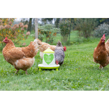 Futtertrog mit Ladies-Motiv