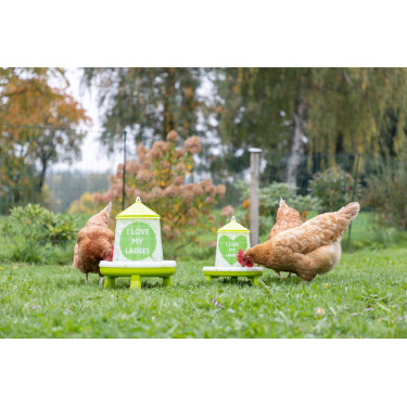 Futtertrog mit Ladies-Motiv