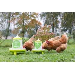 Futtertrog mit Ladies-Motiv