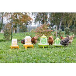 Futtertrog mit Ladies-Motiv