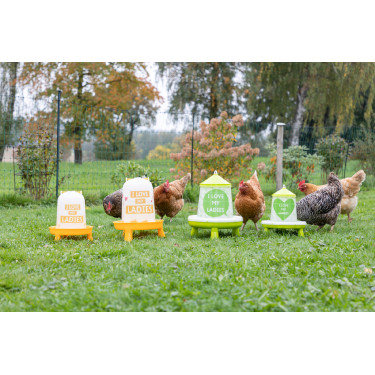 Futtertrog mit Ladies-Motiv