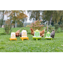 Futtertrog mit Ladies-Motiv