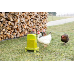 Futterautomat mit Füßen