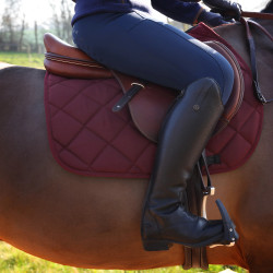Shires Arma Sattelpad Comfort Lite – Reitsport