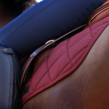 Shires Arma Sattelpad Comfort Lite – Reitsport