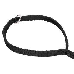 Hundeleine gepolstert Shires Digby & Fox – Reitsport