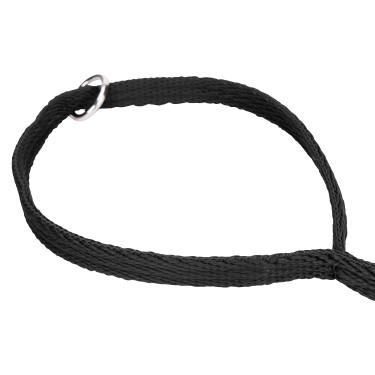 Hundeleine gepolstert Shires Digby & Fox – Reitsport