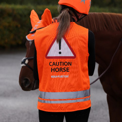 Sicherheitsweste fürs Reiten – Shires Equi-Flector®