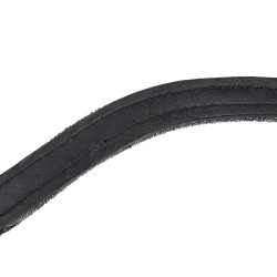 Stirnriemen fürs Reiten mit Mikro-Strass | Shires Velociti Stirnriemen fürs Reiten mit Mikro-Strass | Shires Velociti
