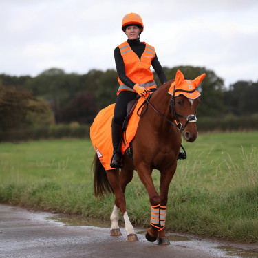 Reflektor-Nierendecke fürs Reiten – Shires Equi-Flector Reflektor-Nierendecke fürs Reiten – Shires Equi-Flector