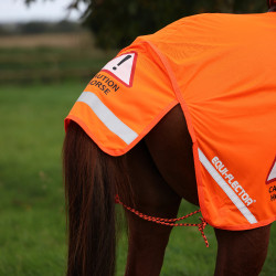 Reflektor-Nierendecke fürs Reiten – Shires Equi-Flector Reflektor-Nierendecke fürs Reiten – Shires Equi-Flector