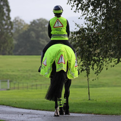 Reflektor-Nierendecke fürs Reiten – Shires Equi-Flector
