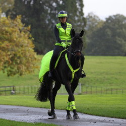 Reflektor-Nierendecke fürs Reiten – Shires Equi-Flector