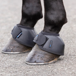 Equi-Clic: Glocken für Pferde Nx‑Max+ Shires ARMA