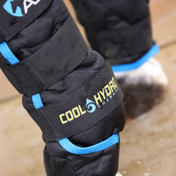 Kühl-Hydrotherapie Gamaschen fürs Pferd | Shires Arma