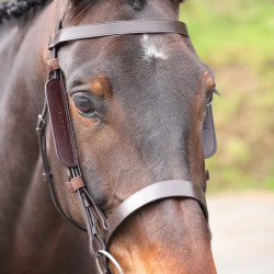 Equitation: Leder-Scheuklappen Shires Velociti Gara