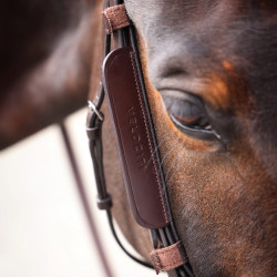 Equitation: Leder-Scheuklappen Shires Velociti Gara
