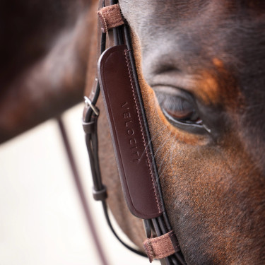 Equitation: Leder-Scheuklappen Shires Velociti Gara