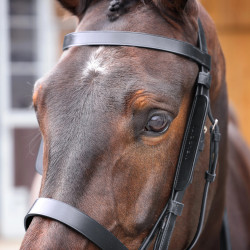 Equitation: Leder-Scheuklappen Shires Velociti Gara