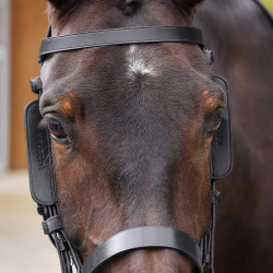 Equitation: Leder-Scheuklappen Shires Velociti Gara