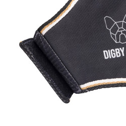 Hundemantel wasserdicht – Shires Digby & Fox | Reitsport