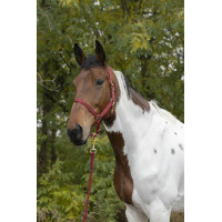 Kopfstück + Führstrick Norton Roségold Bordeaux Kopfstück + Führstrick Norton Roségold Bordeaux