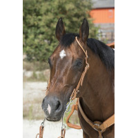 Bridon Westride von Franck...