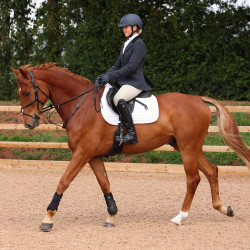 Reitjacke Shires Aubrion Saratoga – Tweed Show-Jacke
