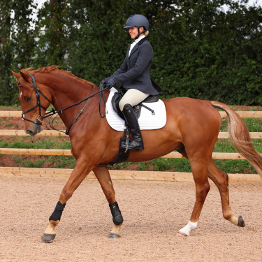 Reitjacke Shires Aubrion Saratoga – Tweed Show-Jacke