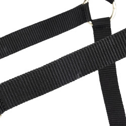 Verstellbares Pferdehalfter Shires Arma – Equitation Shop Verstellbares Pferdehalfter Shires Arma – Equitation Shop