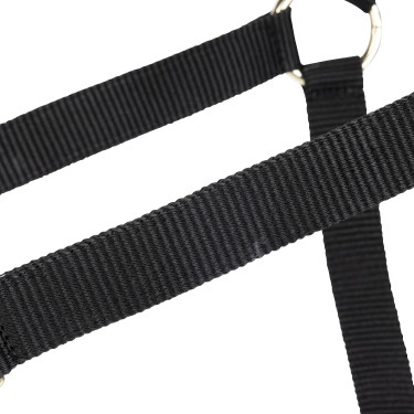 Verstellbares Pferdehalfter Shires Arma – Equitation Shop Verstellbares Pferdehalfter Shires Arma – Equitation Shop