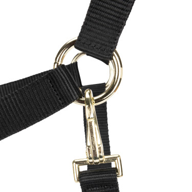 Verstellbares Pferdehalfter Shires Arma – Equitation Shop Verstellbares Pferdehalfter Shires Arma – Equitation Shop