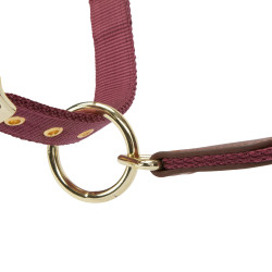 Reithalfter Knotenhalfter ARMA Porto – Shires | Equi-Clic